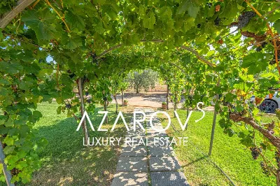 Villa in vendita a Montalto di Castro - foto 5