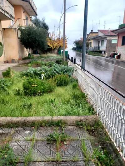 Casa Indipendente in vendita a Calvi - foto 10