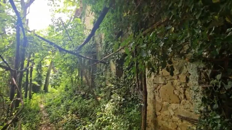 Rustico/Casale in vendita a Castel Sant'Angelo - foto 1