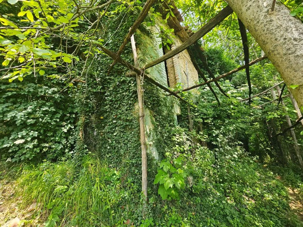 Rustico/Casale in vendita a Castel Sant'Angelo - foto 4