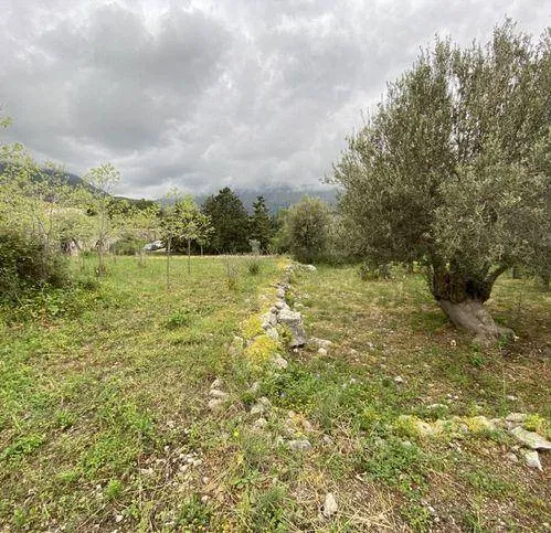 Rustico/Casale in vendita a Carini - foto 4