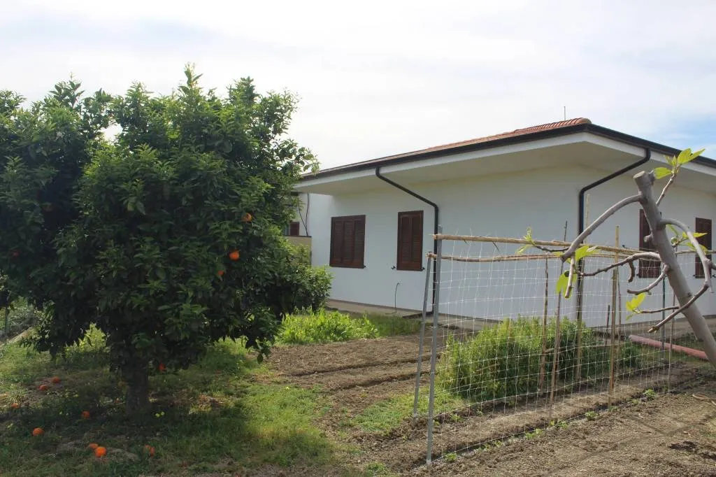 Rustico/Casale in vendita a Rocca Imperiale - foto 2