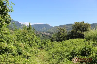 Rustico/Casale in vendita a Zeri - foto 9