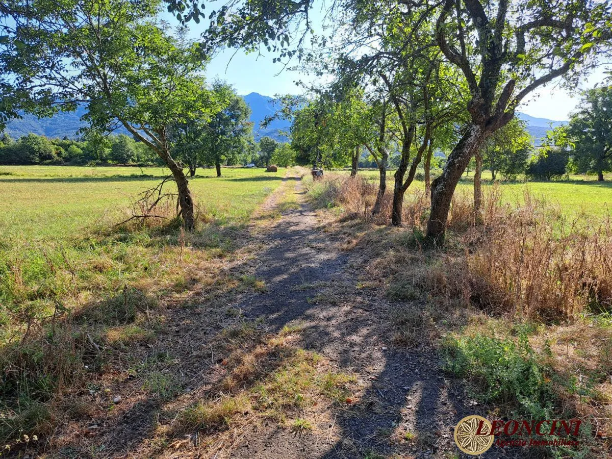 Rustico/Casale in vendita a Pontremoli - foto 3