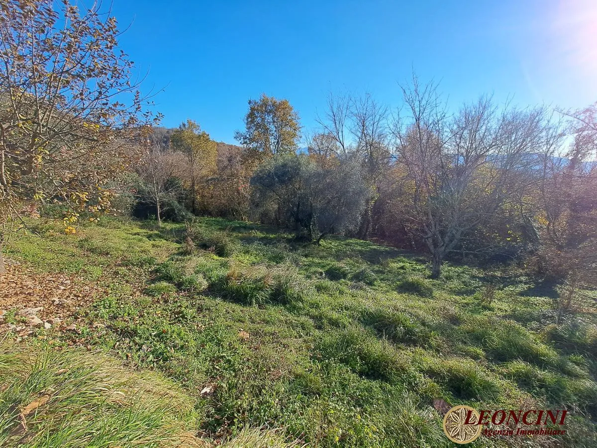 Rustico/Casale in vendita a Bagnone - foto 5