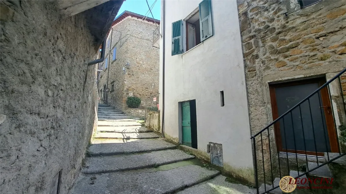 Rustico/Casale in vendita a Filattiera - foto 2