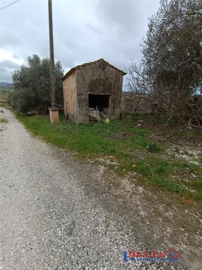 Rustico/Casale in vendita a Rosignano Mari... - foto 10