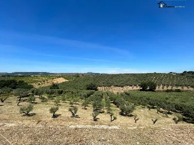 Rustico/Casale in vendita a Montopoli di S... - foto 10