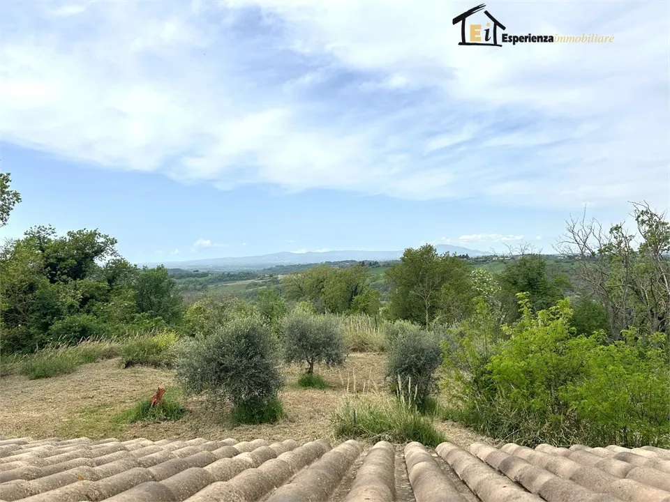 Villa in vendita a Collevecchio - foto 3