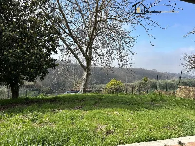 Appartamento in vendita a Forano - foto 8