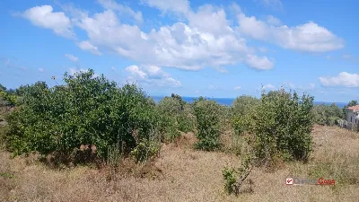 Rustico/Casale in vendita a Messina, Morte... - foto 10