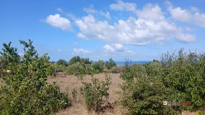 Rustico/Casale in vendita a Messina, Morte... - foto 5