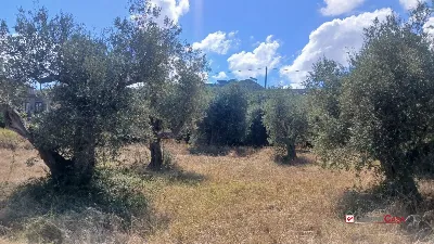 Rustico/Casale in vendita a Messina, Morte... - foto 8
