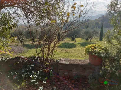 Rustico/Casale in vendita a Capannori - foto 10