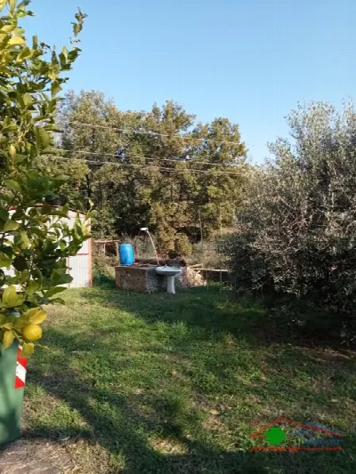 Rustico/Casale in vendita a Capannori - foto 6