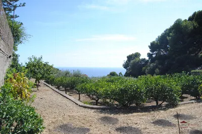 Villa in vendita a Bordighera - foto 4