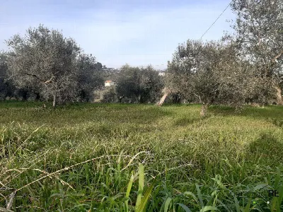 Rustico/Casale in vendita a Spoltore - foto 9