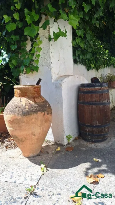 Villa in vendita a Messina, Giampilieri, S... - foto 3