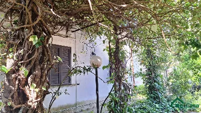 Villa in vendita a Messina, Giampilieri, S... - foto 9