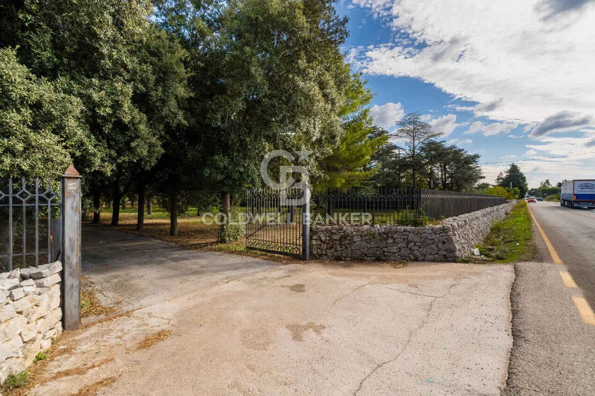 Villa in vendita a Carovigno - foto 3