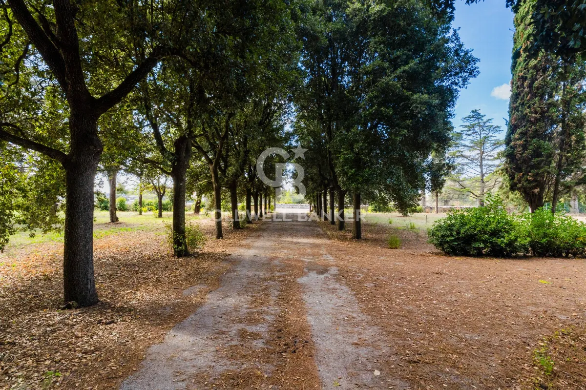 Villa in vendita a Carovigno - foto 4
