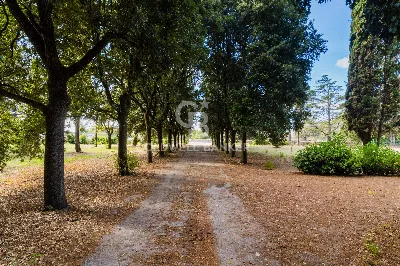 Villa in vendita a Carovigno - foto 4