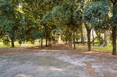 Villa in vendita a Carovigno - foto 5