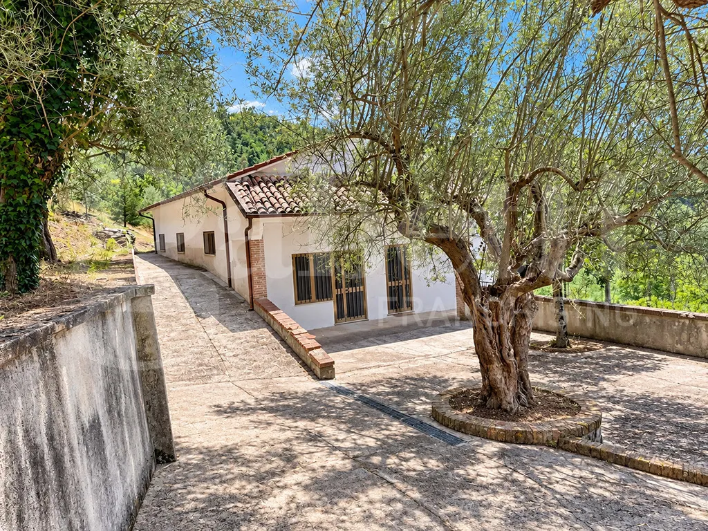 Casa Indipendente in vendita a Raviscanina - foto 2