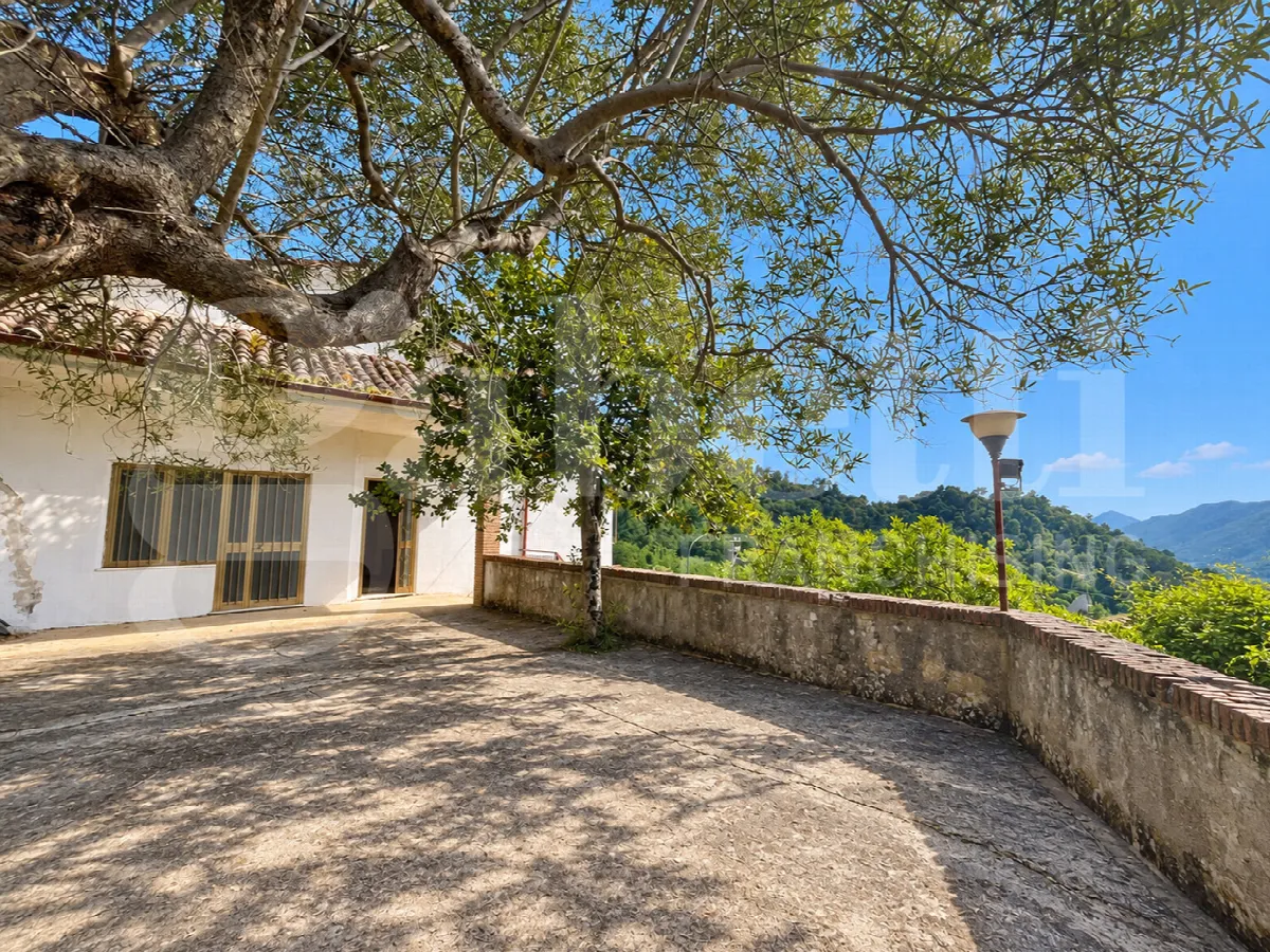 Casa Indipendente in vendita a Raviscanina - foto 4