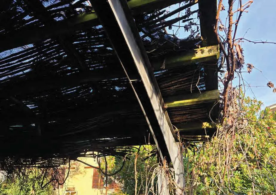 Casa Indipendente in vendita a Montebelluna - foto 5