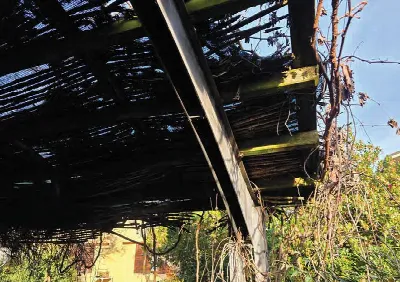 Casa Indipendente in vendita a Montebellun... - foto 5
