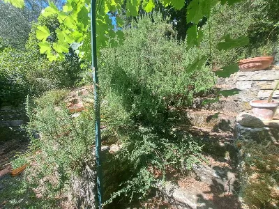 Villa in vendita a Firenze, Serpiolle, Car... - foto 9