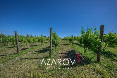 Villa in vendita a Viterbo, Monterazzano, ... - foto 8