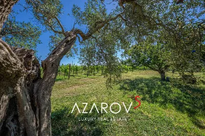 Villa in vendita a Viterbo, Monterazzano, ... - foto 9