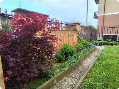 Appartamento in vendita a Baranzate - foto 3