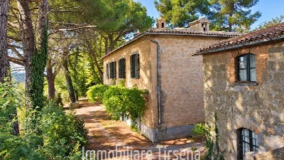 Villa in vendita a Civitella d'Agliano - foto 1