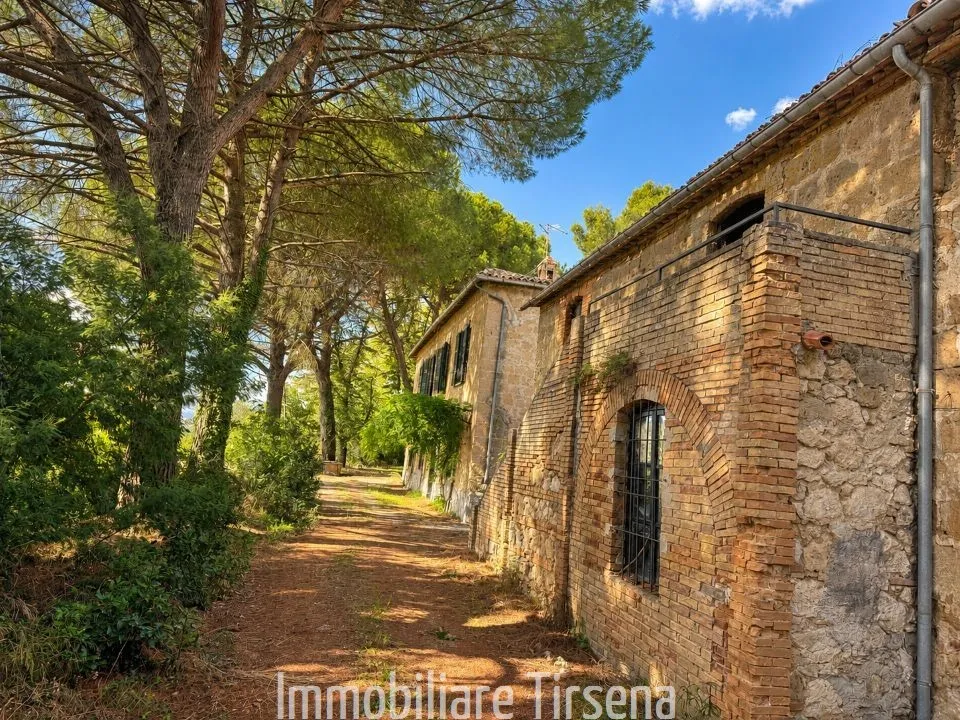 Villa in vendita a Civitella d'Agliano - foto 5