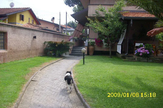 Villa in vendita a Massa, Centro, Turano - foto 1