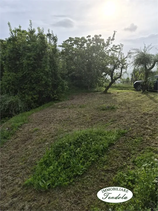 Casa Indipendente in vendita a Tresana - foto 3