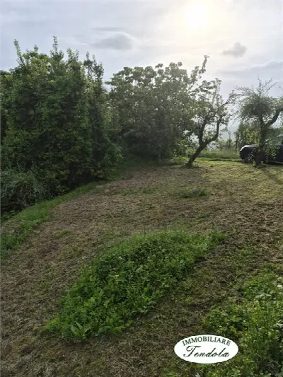 Casa Indipendente in vendita a Tresana - foto 3