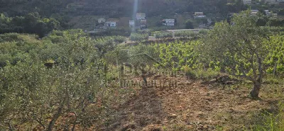 Rustico/Casale in vendita ad Alcamo - foto 10