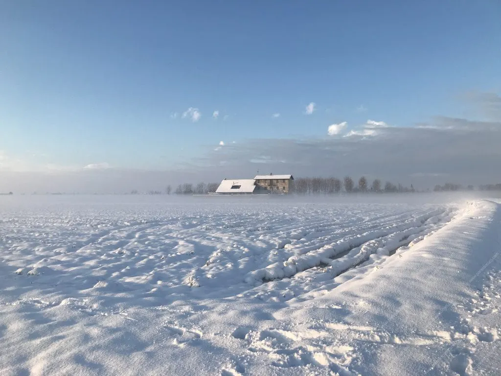Rustico/Casale in vendita a Cerano - foto 2