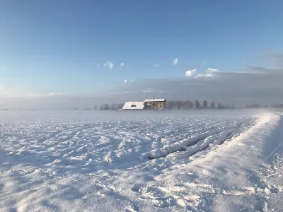 Rustico/Casale in vendita a Cerano - foto 2