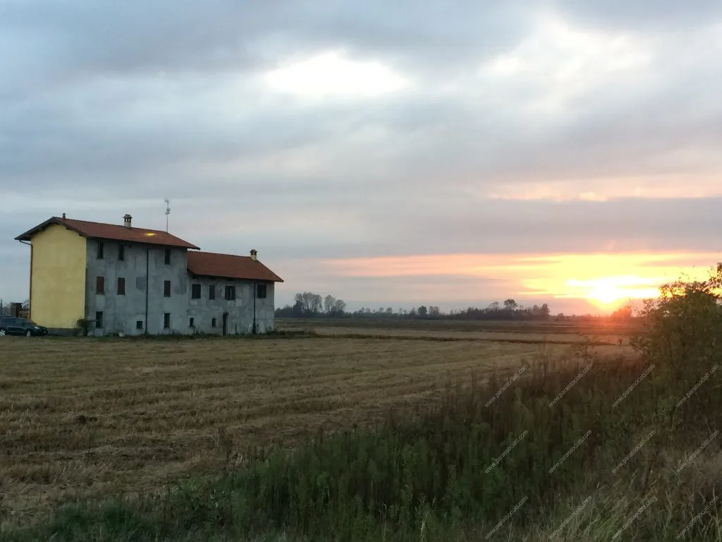 Rustico/Casale in vendita a Cerano - foto 3