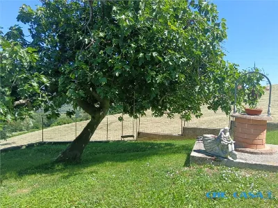 Casa Indipendente in vendita ad Auditore - foto 4
