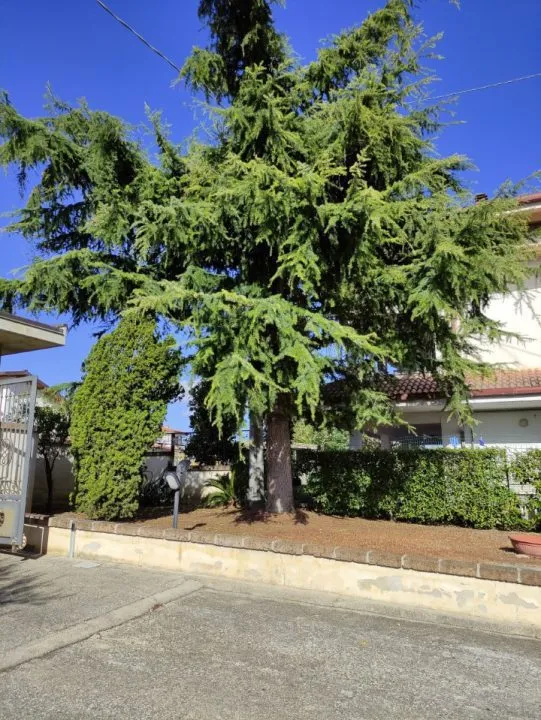 Villa in vendita a Rosciano - foto 3