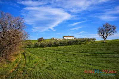 Rustico/Casale in vendita a Montenero di B... - foto 1