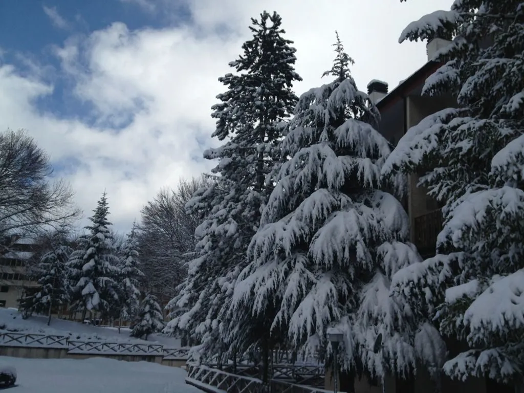 Appartamento in vendita a Campo di Giove - foto 4