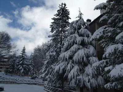 Appartamento in vendita a Campo di Giove - foto 4