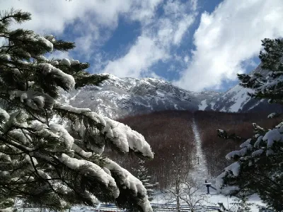Appartamento in vendita a Campo di Giove - foto 5